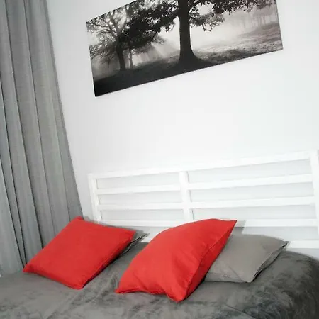 Apartment Auras In The Center Of