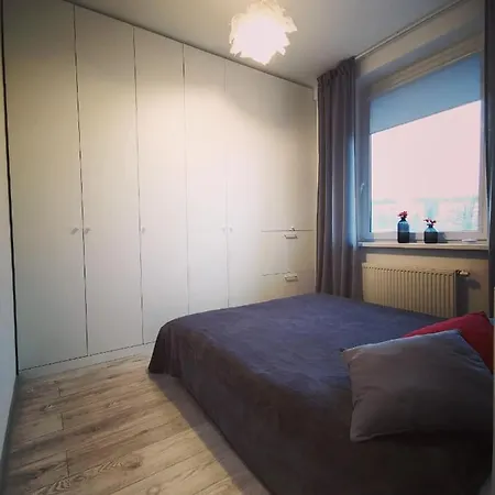 Auras In The Center Of Apartment